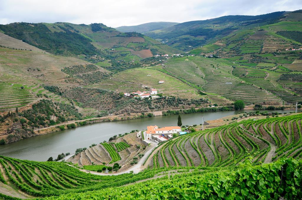 Hotel Rural Quinta Do Pego Tabuaco Ngoại thất bức ảnh